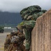 US Marines, partners complete amphibious raid exercise