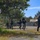 Sri Lankan marines participate in amphibious raid exercise
