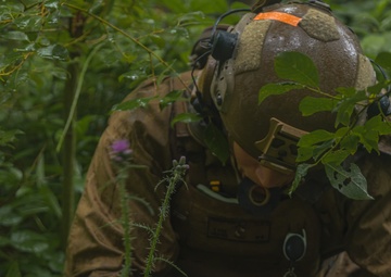 Eifel Krabben IED Lane