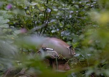 Eifel Krabben IED Lane