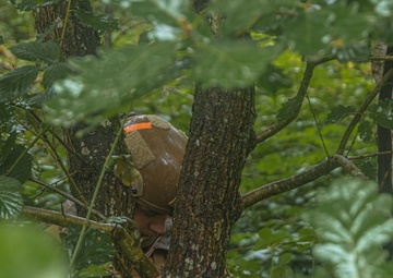 Eifel Krabben IED Lane