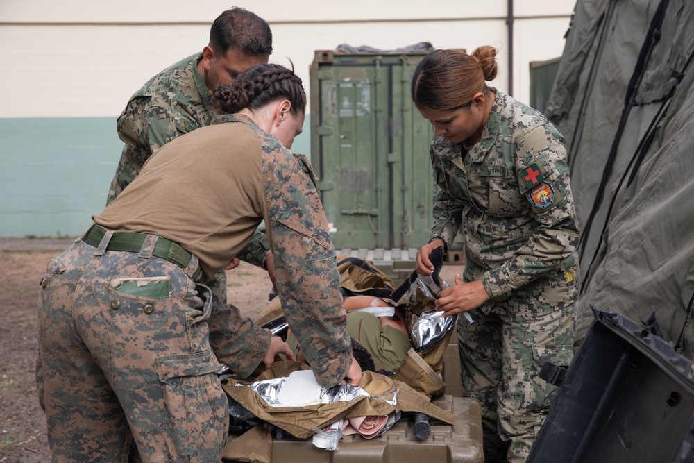 US Marines and partners conduct mass casualty exercise