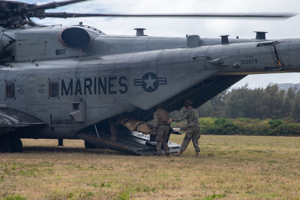 US Marines and partners conduct mass casualty exercise