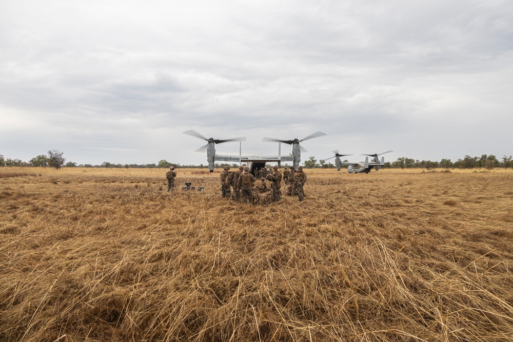 MRF-D 24.3 Marines rehearse low altitude air defense with MV-22B Ospreys during Exercise Predator’s Run 24