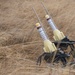 MRF-D 24.3 Marines rehearse low altitude air defense with MV-22B Ospreys during Exercise Predator’s Run 24