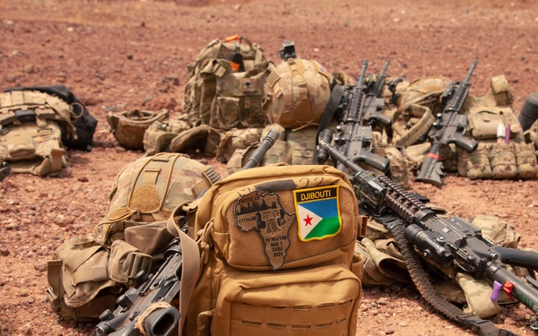 Ambush, SFAB, and the BIR