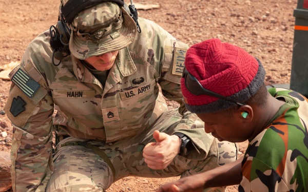 Ambush, SFAB, and the BIR