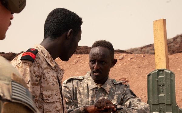 Ambush, SFAB, and the BIR