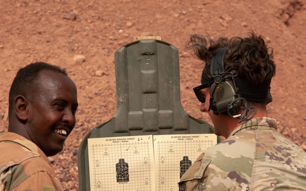 Ambush, SFAB, and the BIR