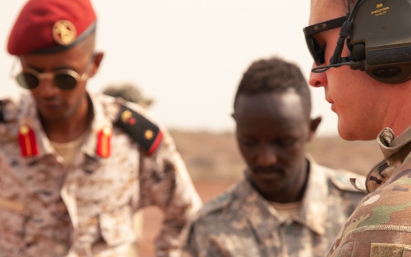 Ambush, SFAB, and the BIR