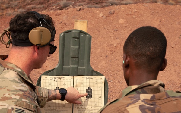 Ambush, SFAB, and the BIR