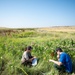 Monarch Migration: Winged Wonders on the Move