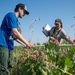 Monarch Migration: Winged Wonders on the Move