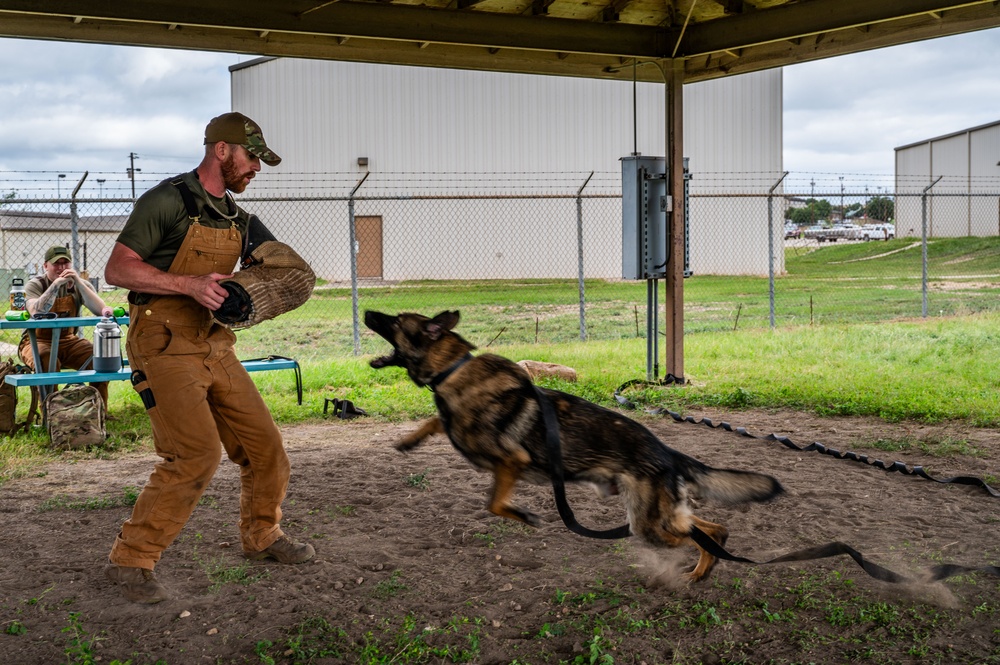 341st Training Squadron