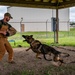341st Training Squadron