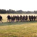 Installation Run brings together Soldiers from across Fort McCoy to build esprit de corps