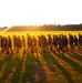 Installation Run brings together Soldiers from across Fort McCoy to build esprit de corps
