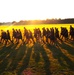 Installation Run brings together Soldiers from across Fort McCoy to build esprit de corps