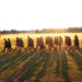 Installation Run brings together Soldiers from across Fort McCoy to build esprit de corps