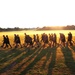 Installation Run brings together Soldiers from across Fort McCoy to build esprit de corps