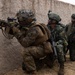 US Marines, partners conduct amphibious raid exercise