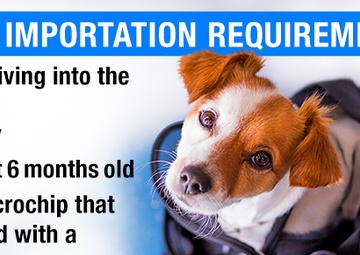 DHA Veterinary Services Explains Updated CDC Dog Importation Guidelines