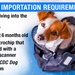 DHA Veterinary Services Explains Updated CDC Dog Importation Guidelines