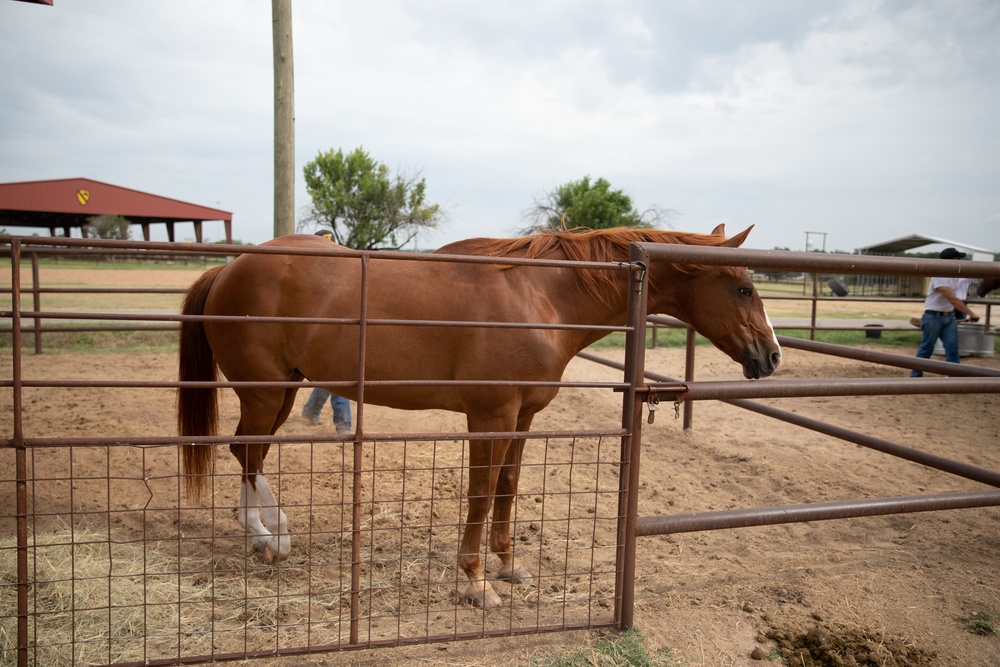 1st Cav Horse Detachment inside look (image 1of 6)