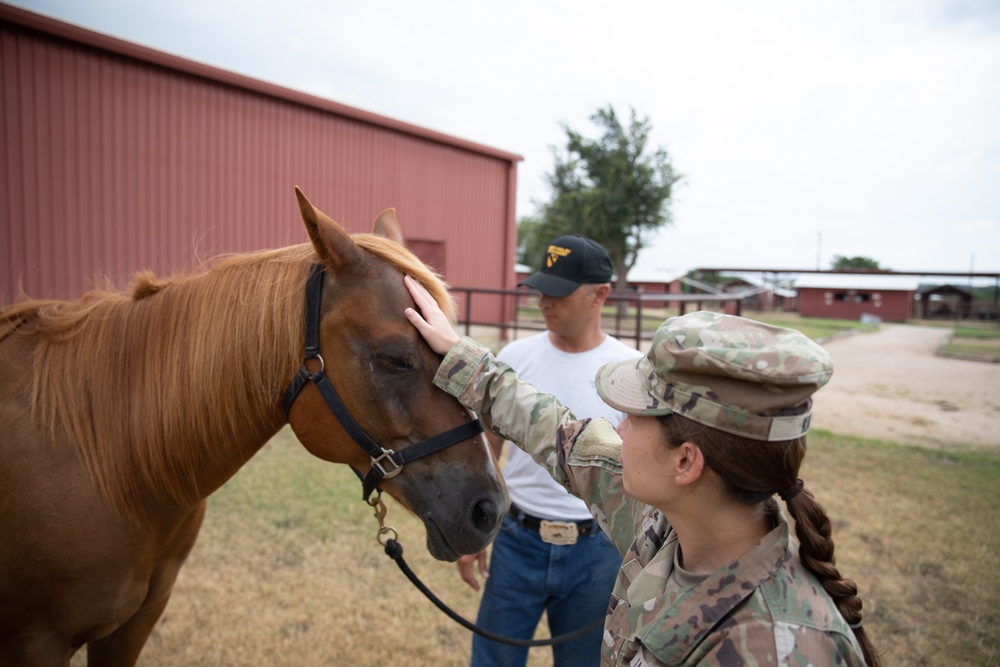 1st Cav Horse Detachment inside look (image 2 of 6)