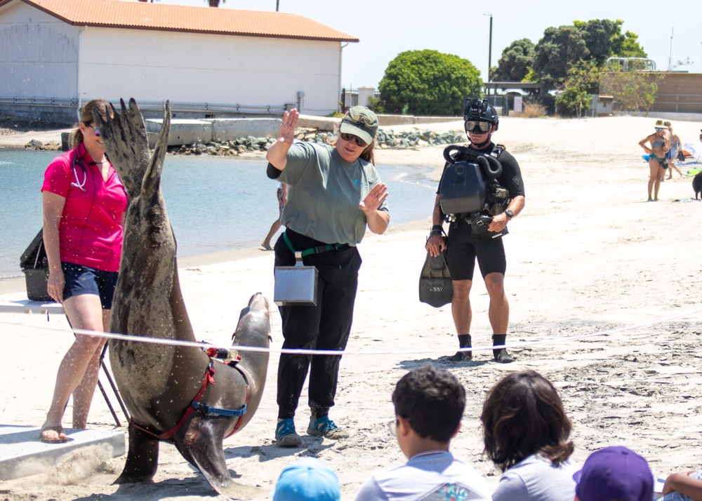 NSW and the National Marine Mammal Foundation
