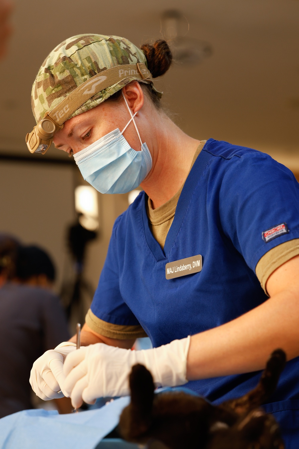 U.S. Army conduct Veterinarian Care in Honduras for Continuing Promise 2024
