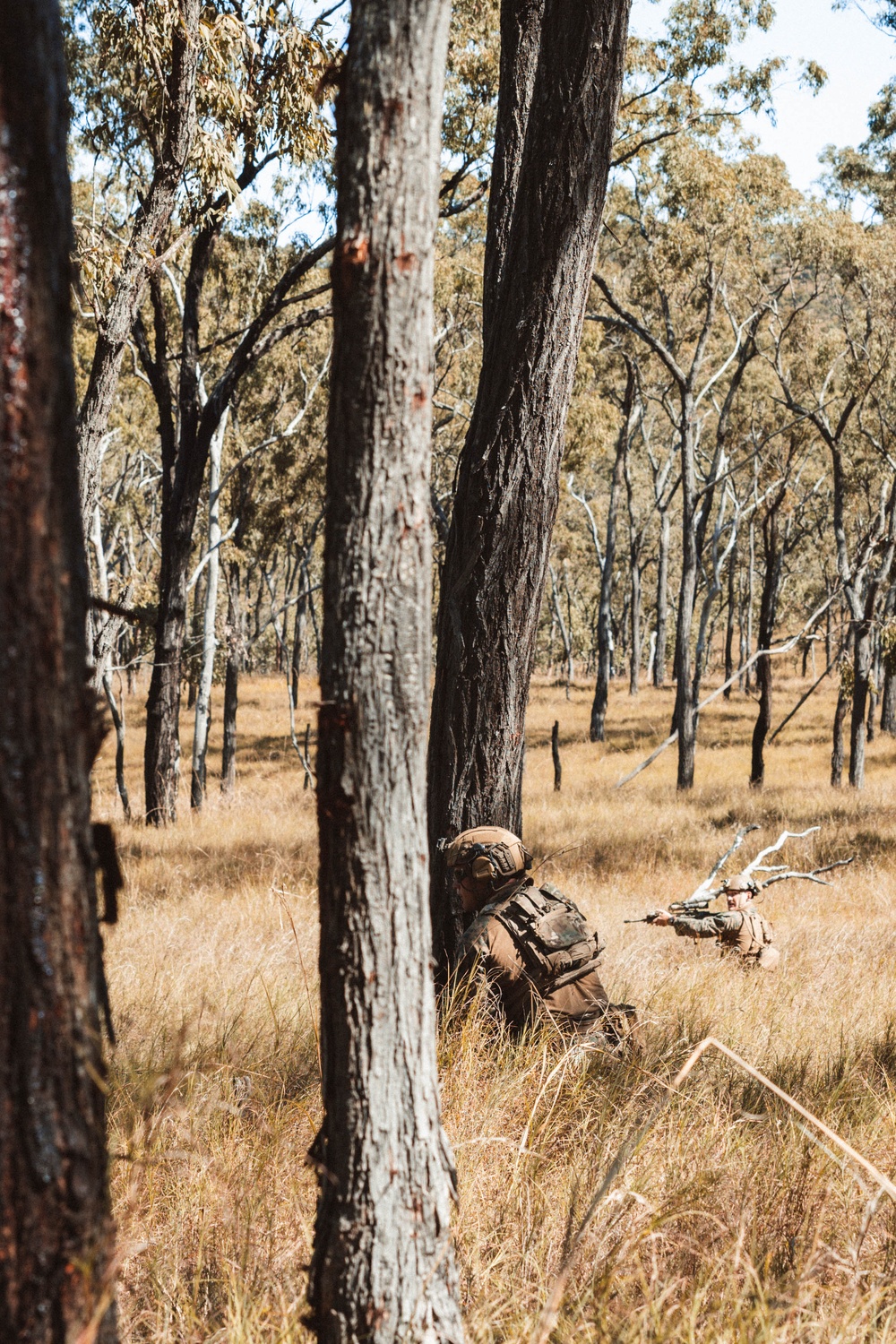 1st Recon. Bn., Australian Army conduct fire, maneuver drills