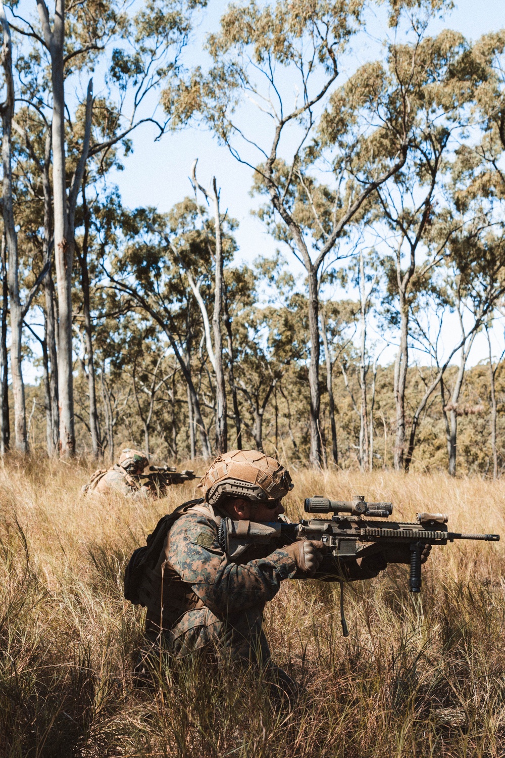 1st Recon Bn., Australian Army conduct fire, maneuver drills