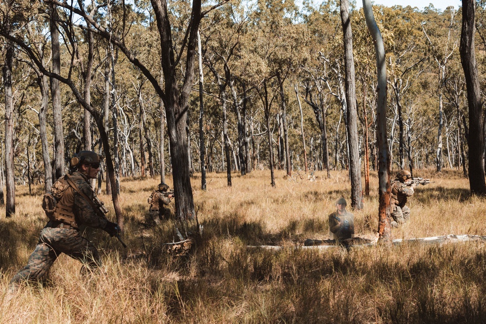 1st Recon Bn., Australian Army conduct fire, maneuver drills