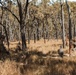 1st Recon Bn., Australian Army conduct fire, maneuver drills