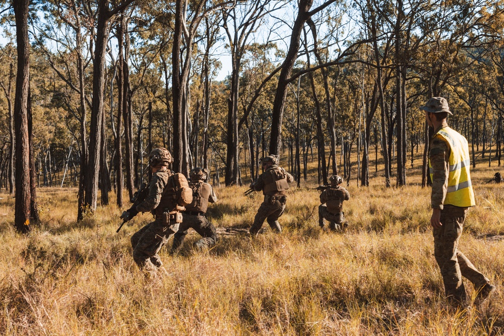 1st Recon Bn., Australian Army conduct fire, maneuver drills