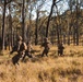 1st Recon Bn., Australian Army conduct fire, maneuver drills