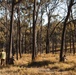 1st Recon Bn., Australian Army conduct fire, maneuver drills
