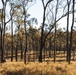 1st Recon Bn., Australian Army conduct live-fire maneuver drills