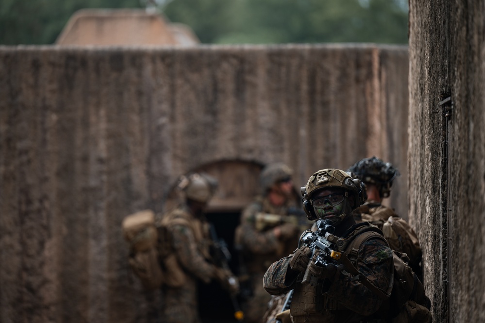 U.S. Marines, Partner Forces conduct Air Assault Exercise During RIMPAC