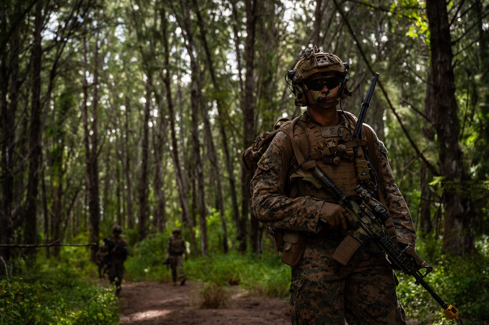 U.S. Marines, Partner Forces conduct Air Assault Exercise During RIMPAC