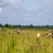 2-124th Infantry Regiment engages OPFOR in culminating XCTC event