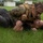III MEF Marines Participate in Martial Arts Instructor Course Culminating Event