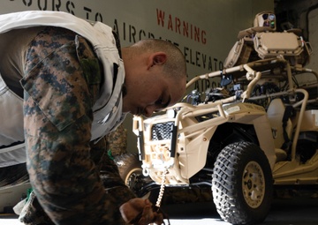 31st MEU L-MADIS UTV