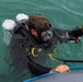 Royal Netherlands Navy diver