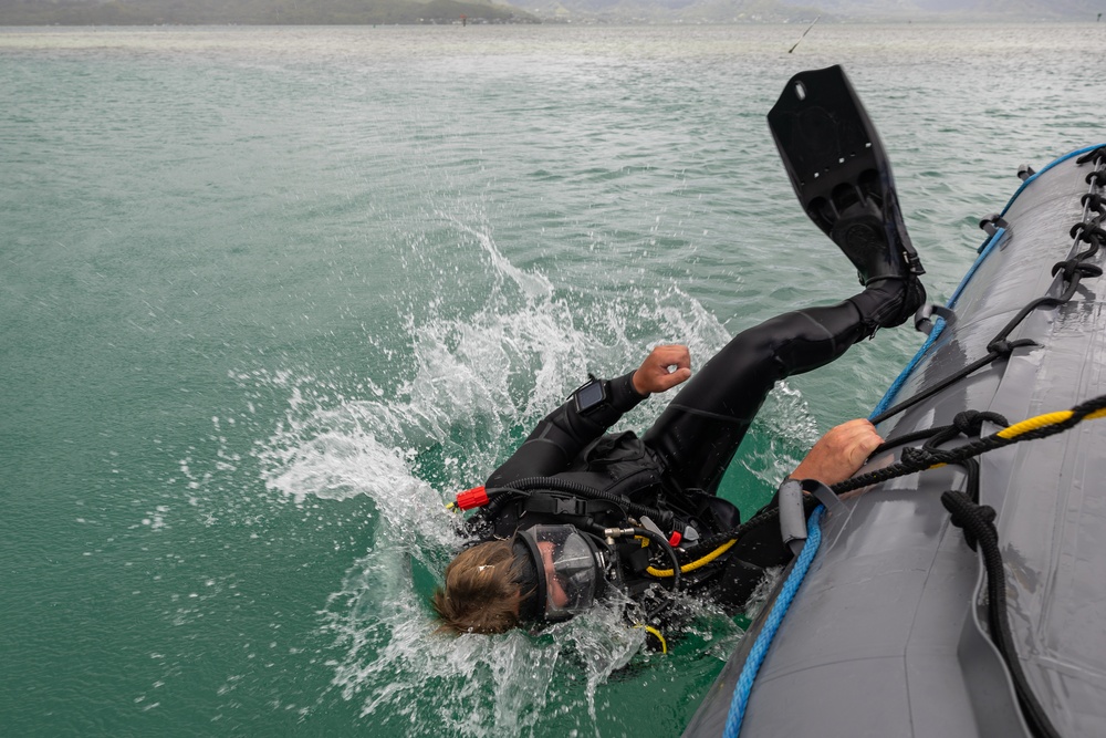 Royal Netherlands Navy diver