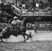 Cheyenne holds 128th Daddy Of ‘Em All