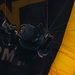 Golden Knights perform at the Milwaukee Air &amp; Sea Show