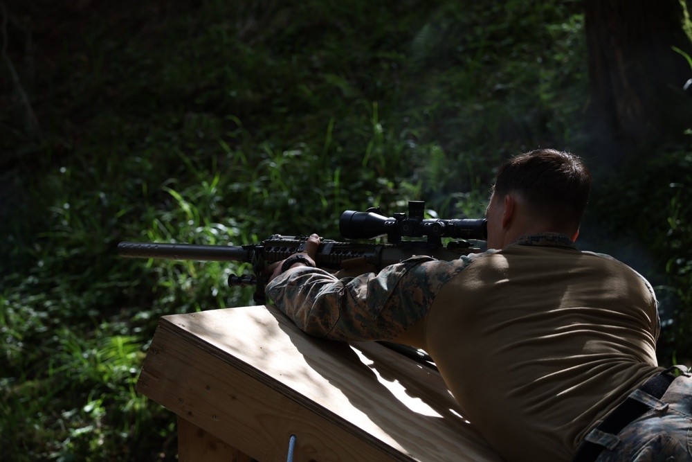 Urban Sniper Training