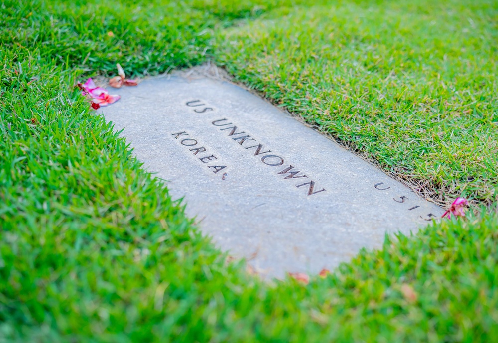 DPAA Disinterment NMCP